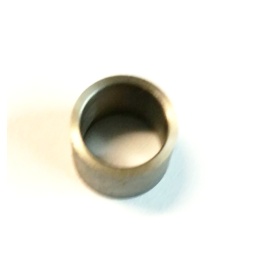 Stuha Bøsning i leje ved Gaffelben