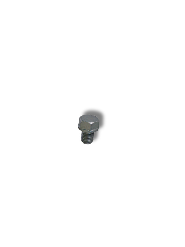 Daytona ANIMA Bolt til Olieaftapning M12x15