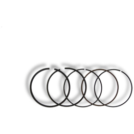 Daytona ANIMA Stempelring Sæt 62mm
