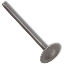 Daytona ANIMA Indsugningsventil 24.5x86.5x4.5mm