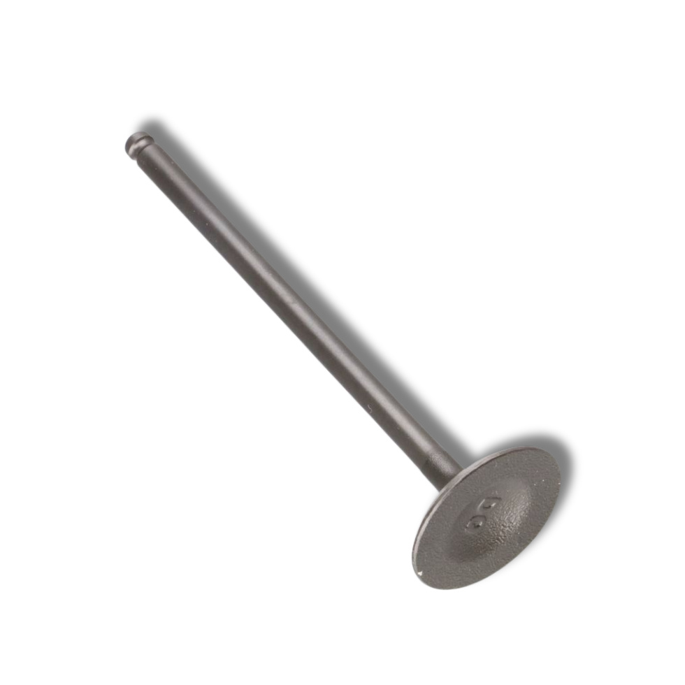 Daytona ANIMA Indsugningsventil 24.5x86.5x4.5mm