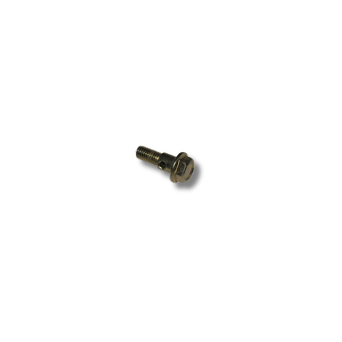 Daytona ANIMA Banjo Bolt t. Olieslange M10x22,5