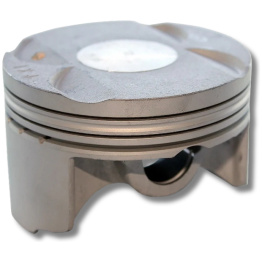 Daytona ANIMA Stempel 62mm