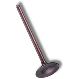 Daytona ANIMA Udstødningsventil 21x86.5x4.5mm