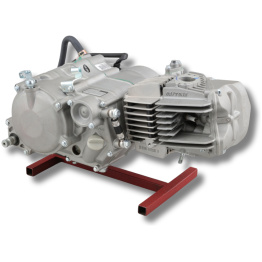 Daytona ANIMA 190FSM Motor