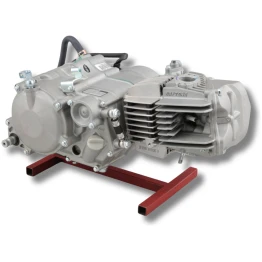 Daytona ANIMA 190FSM Motor