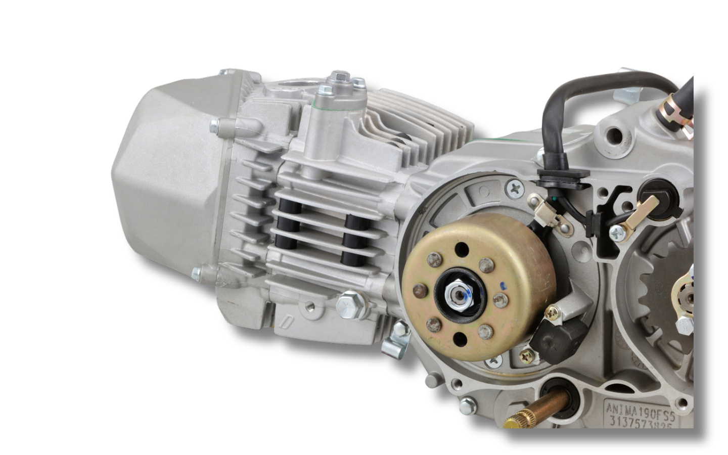 Daytona ANIMA 190FSM Motor