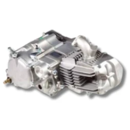 DAYTONA ANIMA 190cc FSM Motor