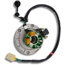 Daytona ANIMA 190FSM Stator - Tænding